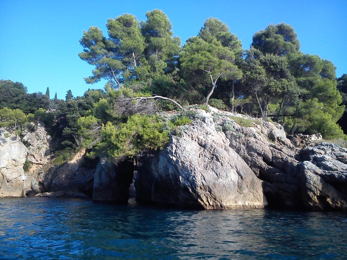 Mansard Apart Alba - Sea 5 Terre-Trekking-Excursions-Relax Сан-Таренцо Экстерьер фото